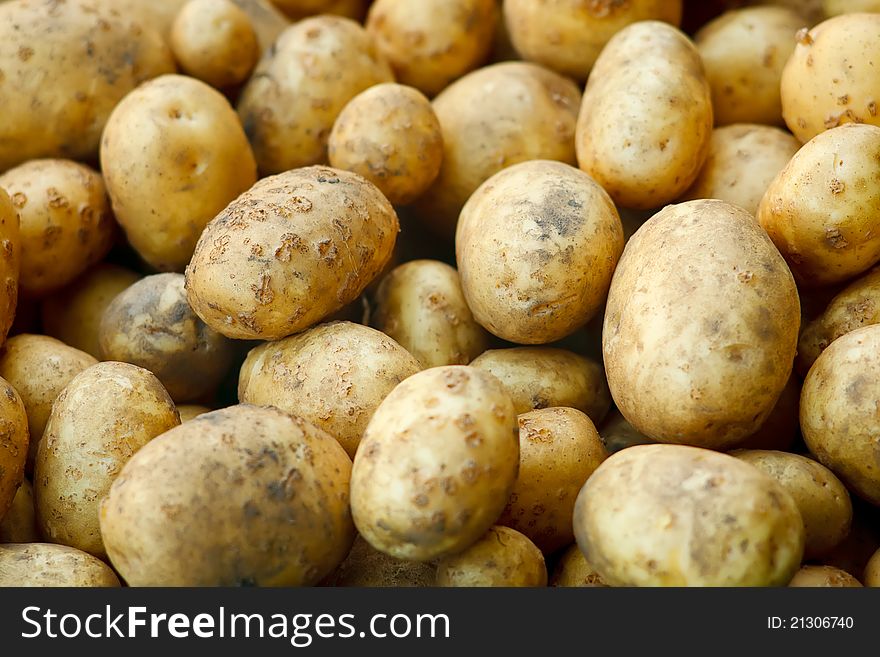 A lot of fresh digged and washed potatoes