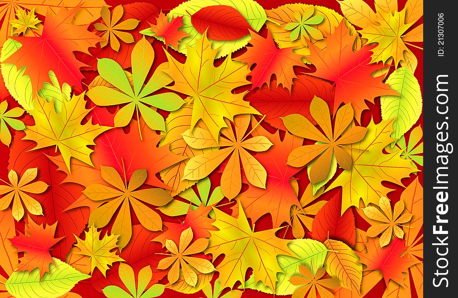 Bright autumn leaves, colorful background.
