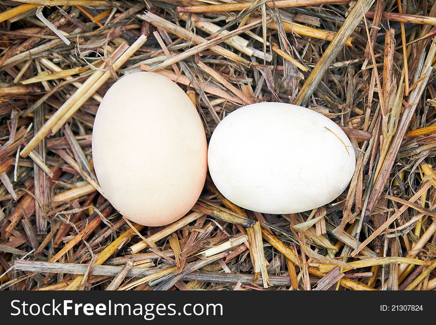 Two eggs in a straw nest