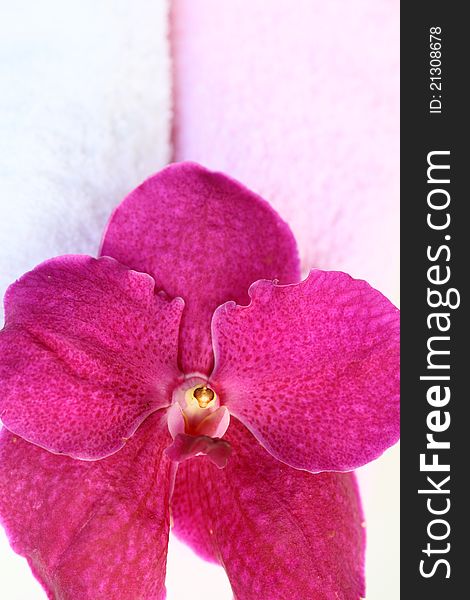 Set of towel and orchid flower