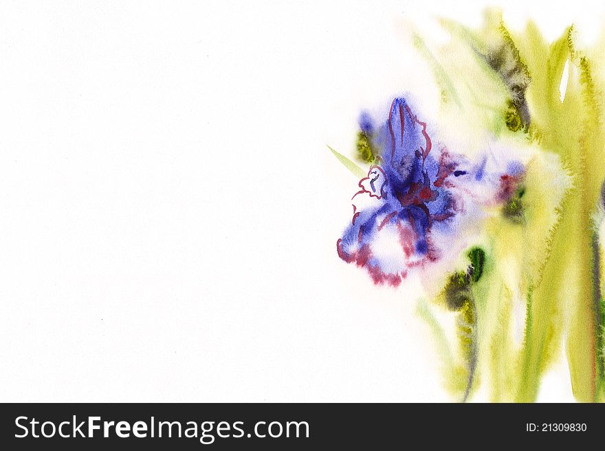 Floral watercolor illustration blank space. Floral watercolor illustration blank space