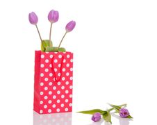 Three Purple Tulips Stock Photos Three Purple Tulips Stock Photos