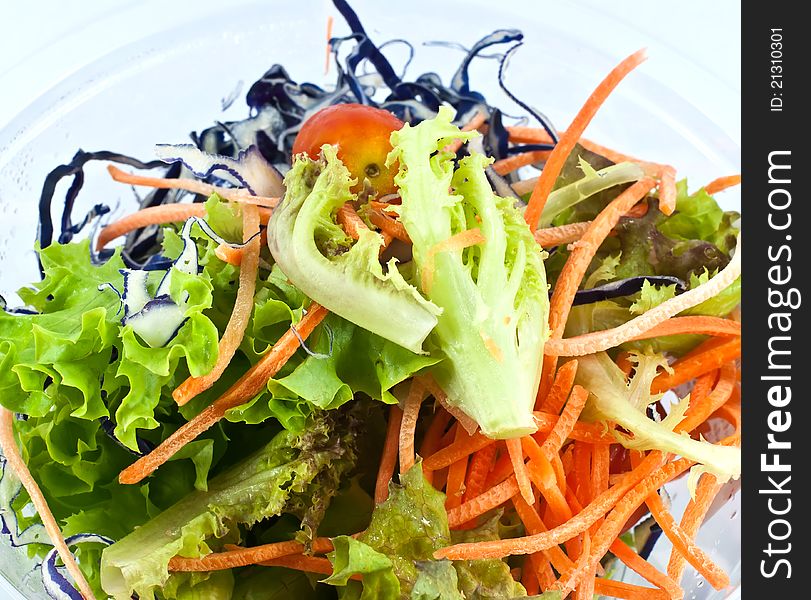 Delicious salad in plastic bowl. Delicious salad in plastic bowl.