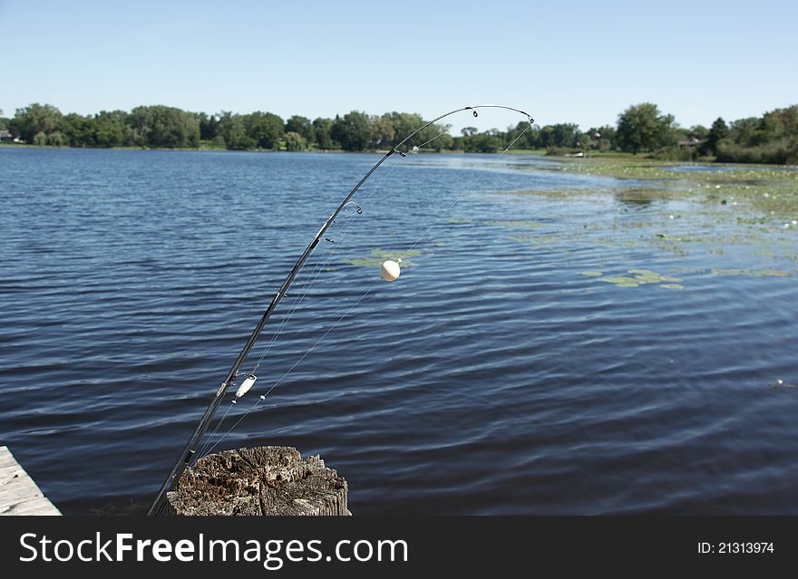 Fishing in summer near lake in USA vacation. Fishing in summer near lake in USA vacation