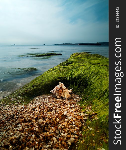 Summer time on the sea. Shell over sand close to rock