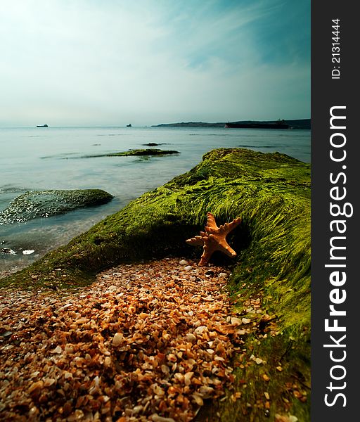 Summer time on the sea. Starfish over sand close to rock