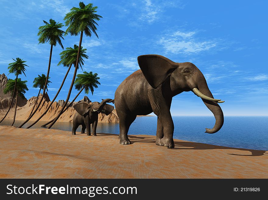 The group of elephants on the beach. The group of elephants on the beach.