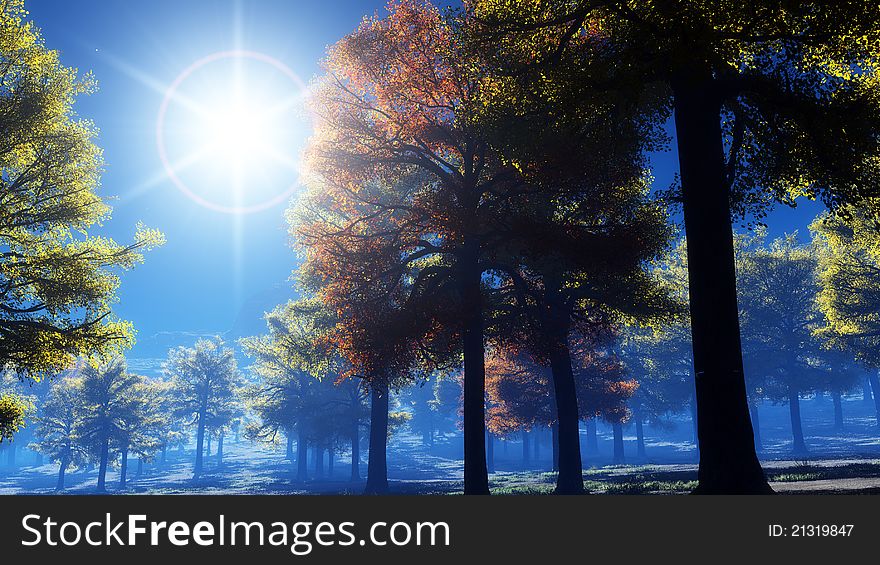 Silhouettes of trees at sunset.