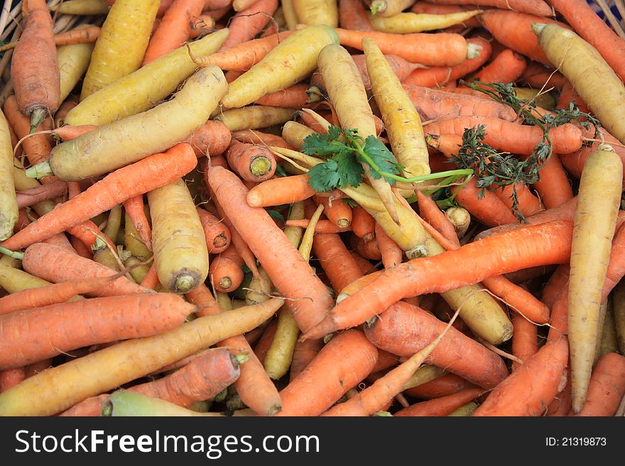 Carrots after picking in various colors and variety