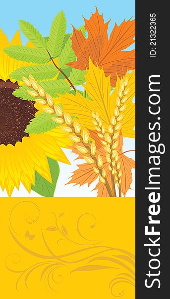 Abstract autumn banner with leaves, sunflower and wheat ears. Illustration