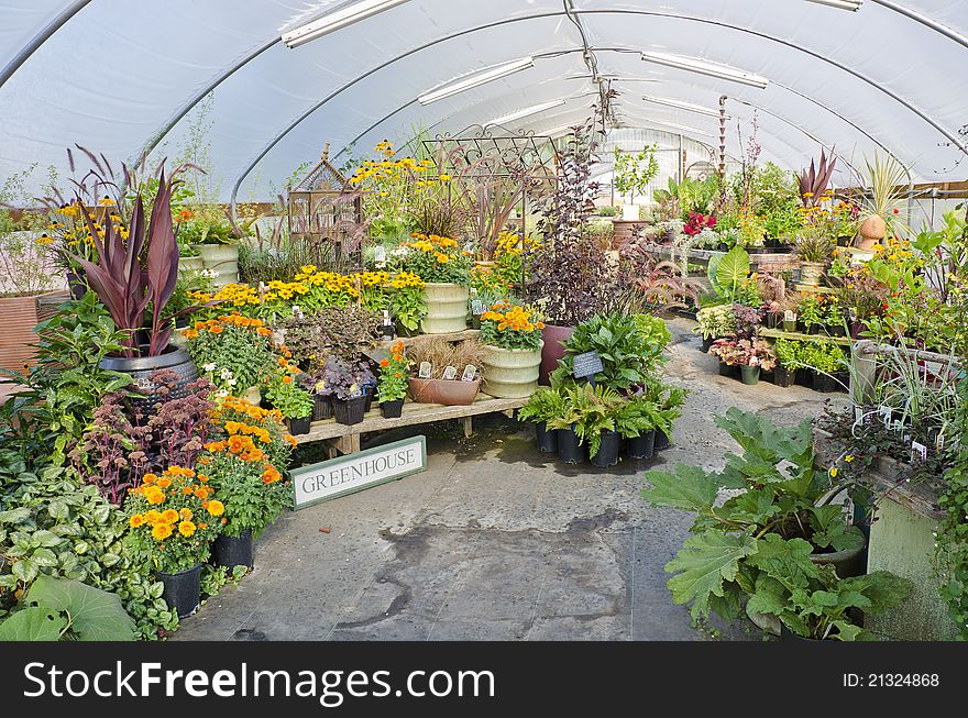 A small green house in the country.