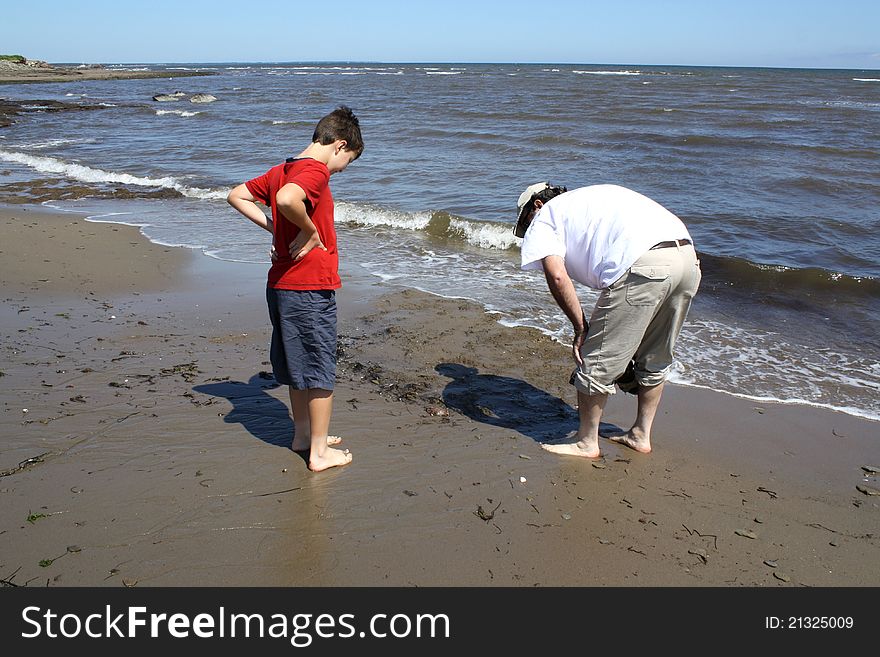 Father and son beach-combing. Father and son beach-combing.