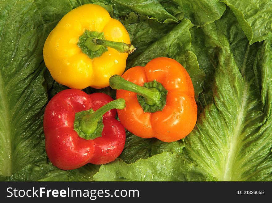 Three colorful bell peppers on a bed of romaine lettuce leaves. Three colorful bell peppers on a bed of romaine lettuce leaves.