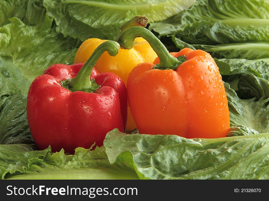 Three colorful bell peppers on a bed of green romaine lettuce. Three colorful bell peppers on a bed of green romaine lettuce.
