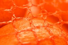 Super Intense Close Up Of A Tangerine In A Net Stock Image