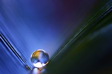 Gel Marble On A Blue Leaf Stock Images Gel Marble On A Blue Leaf Stock Images