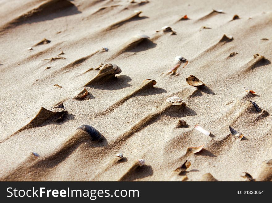 Background of sand and shells against the sun