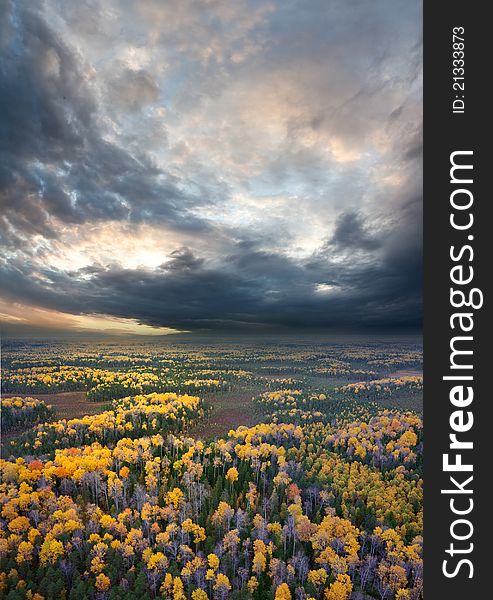 Aerial view overview a autumn forest under clouds in the time of sunset.