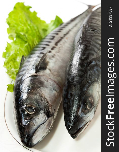 Two mackerels on a plate. Two mackerels on a plate