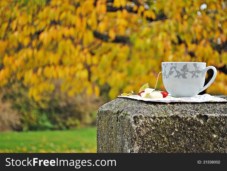 Autumn tea drinking