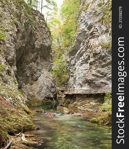 Walking in the gorge of Vintgar in Slovenia