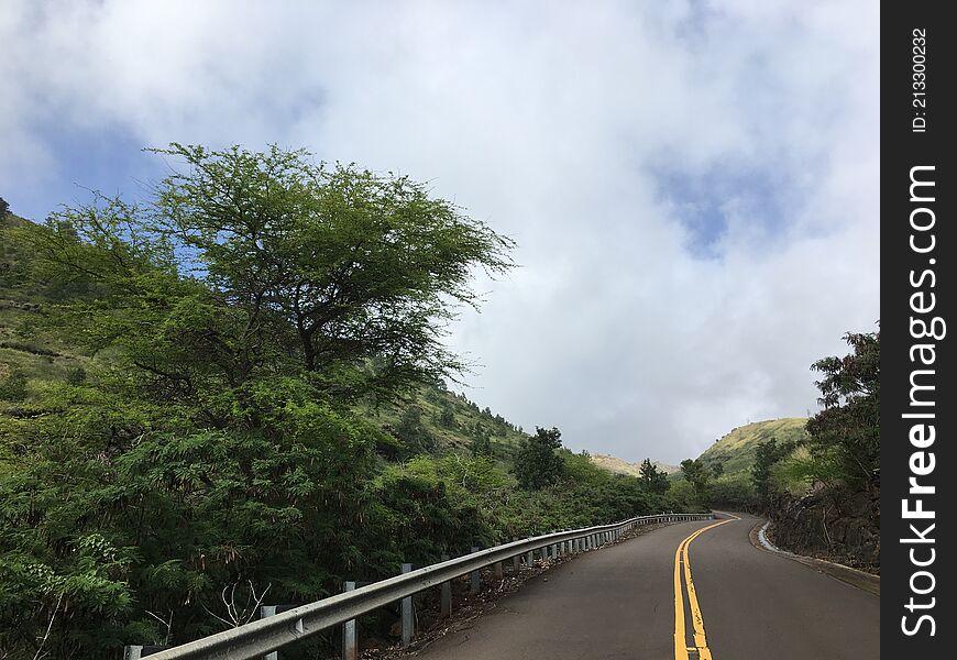 Spring in Waimea Canyon on Kauai Island in Hawaii.