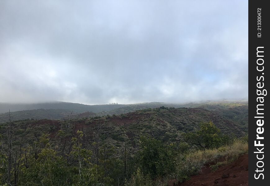 Spring in Waimea Canyon on Kauai Island, Hawaii.