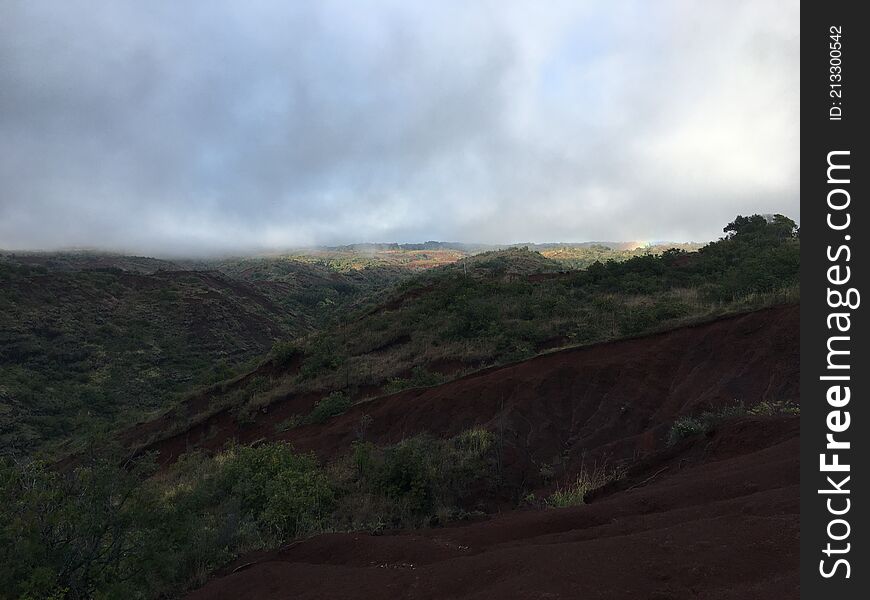 Spring in Waimea Canyon on Kauai Island in Hawaii.