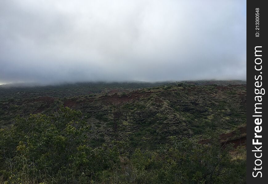 Spring in Waimea Canyon on Kauai Island, Hawaii.