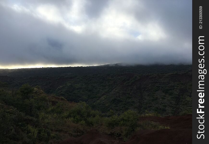 Spring in Waimea Canyon on Kauai Island in Hawaii.