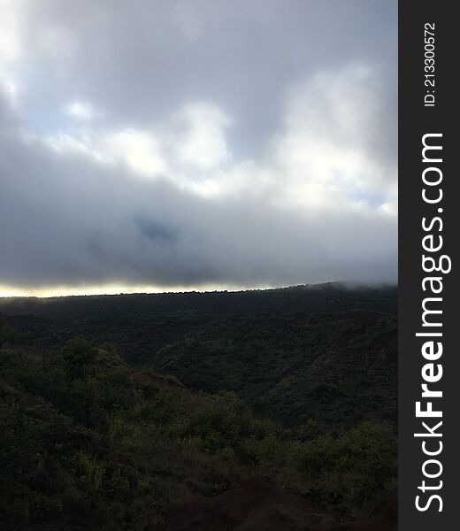 Spring in Waimea Canyon on Kauai Island, Hawaii.