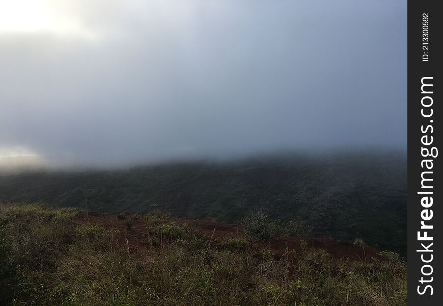 Spring in Waimea Canyon on Kauai Island in Hawaii.