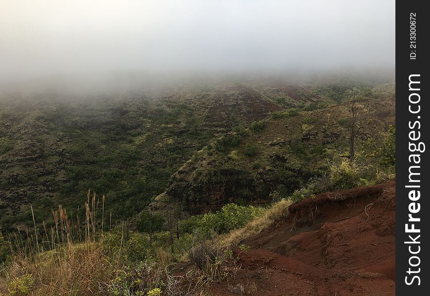 Spring in Waimea Canyon on Kauai Island, Hawaii.