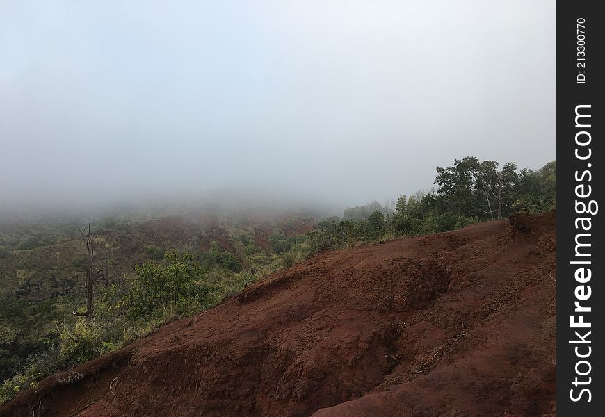 Spring in Waimea Canyon on Kauai Island, Hawaii.