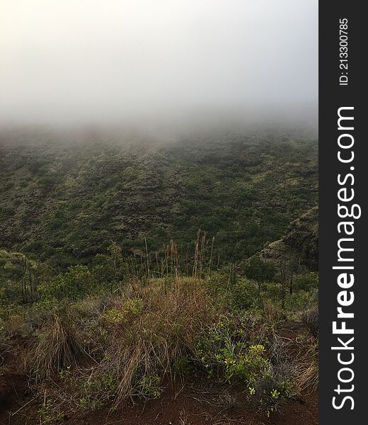 Spring In Waimea Canyon On Kauai Island, Hawaii.