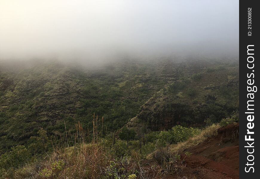 Spring In Waimea Canyon On Kauai Island, Hawaii.