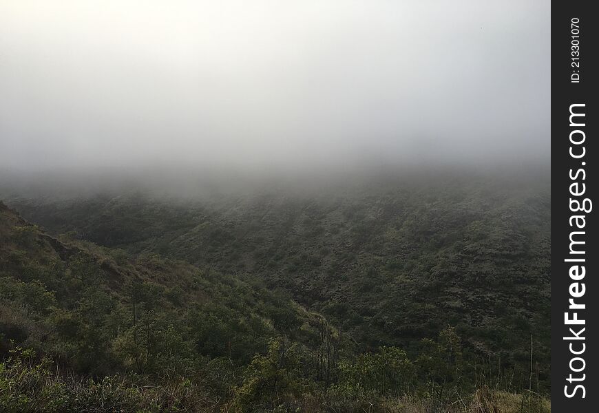 Spring In Waimea Canyon On Kauai Island, Hawaii.