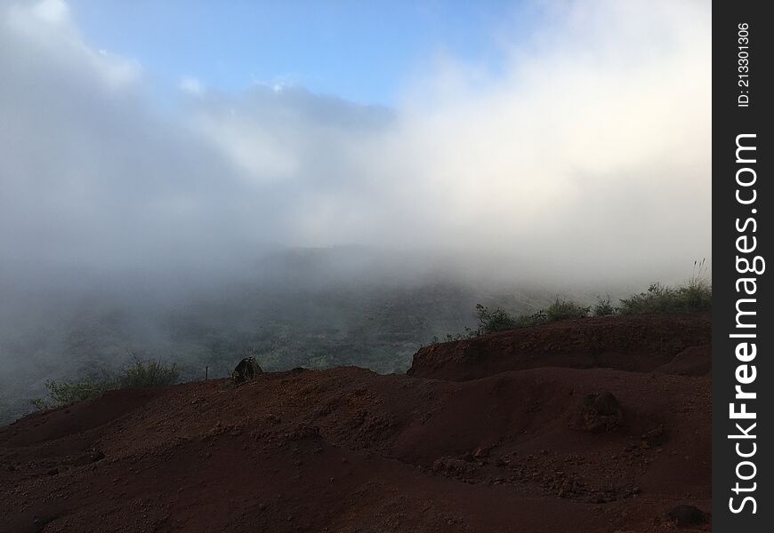 Spring In Waimea Canyon On Kauai Island, Hawaii.