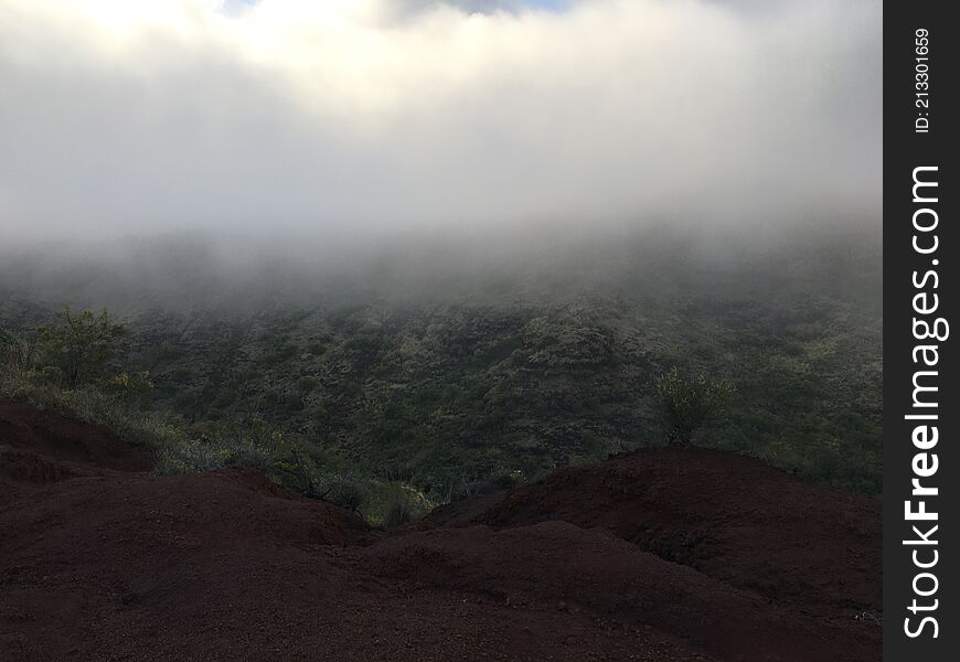 Spring In Waimea Canyon On Kauai Island, Hawaii.