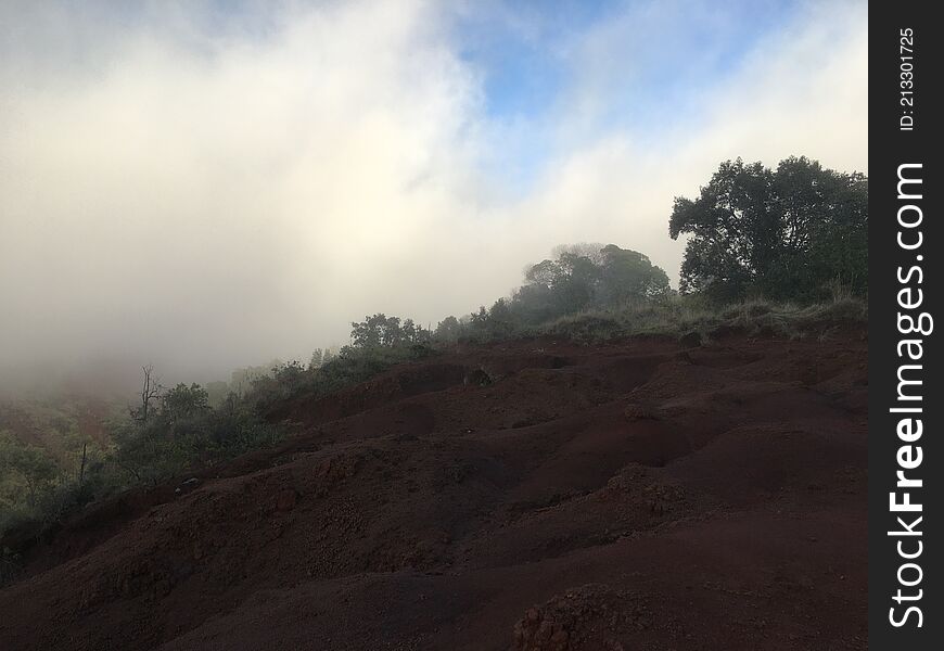 Spring in Waimea Canyon on Kauai Island, Hawaii.