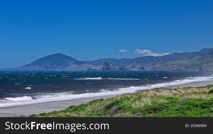 Shore and surf along the Oregon coast.