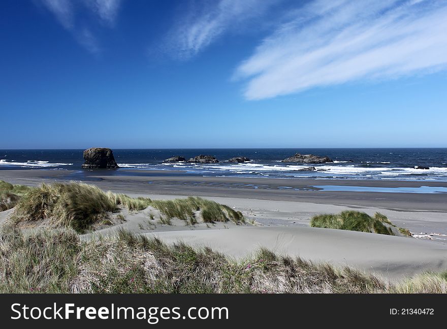 Sandy seascape along the Oregon coast.