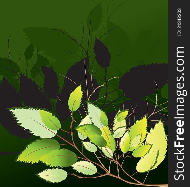 Leaf Illustration in several layers and colors. Leaf Illustration in several layers and colors