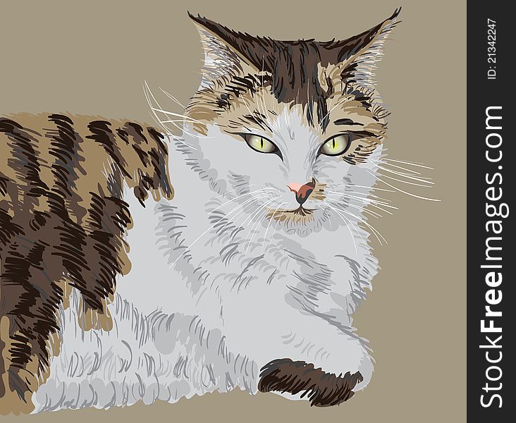 Illustrated portrait of a cat laying down