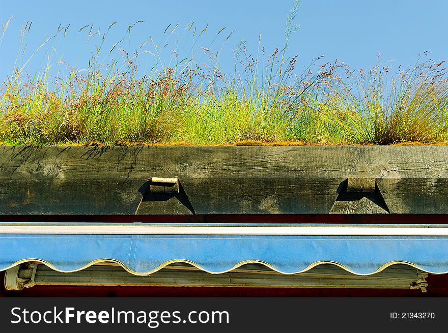 Roof surface with growing grass. Roof surface with growing grass.