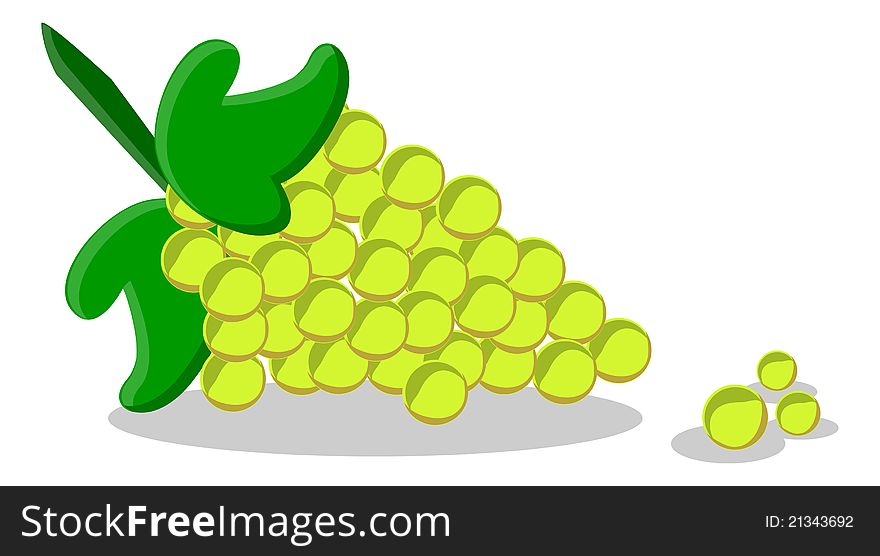 Illustration of green grape created by
