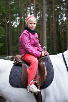 Girl Rider On A White Horse Stock Image Girl Rider On A White Horse Stock Image
