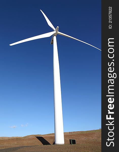 Wind energy, wind turbine in a field Washington st