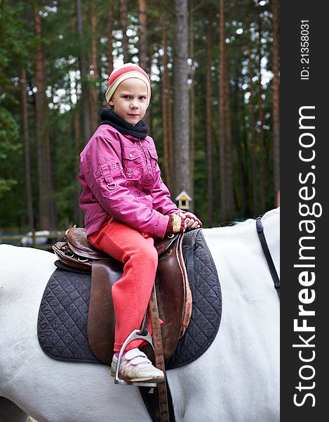Girl rider on a white horse on forest background