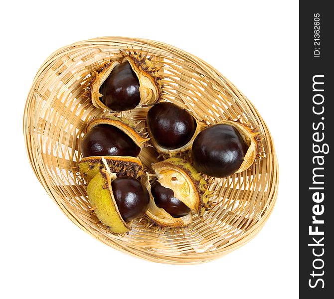Basket with chestnuts on white background